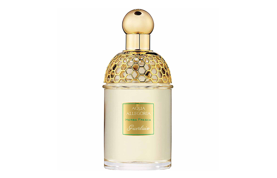 Aqua Allegoria Herba Fresca, Guerlain