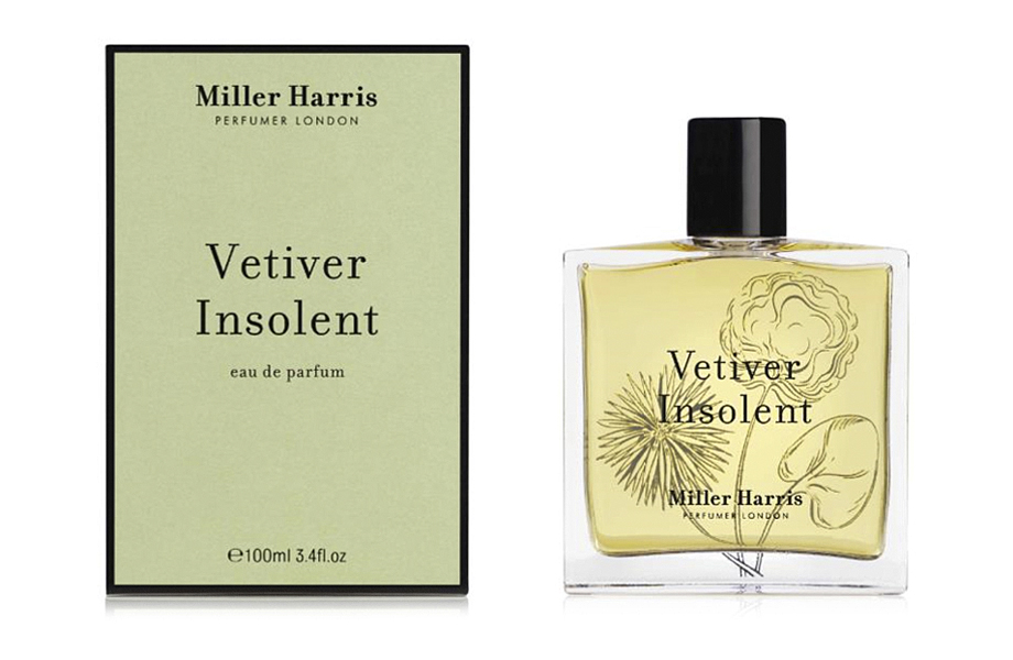 Vetiver Insolent