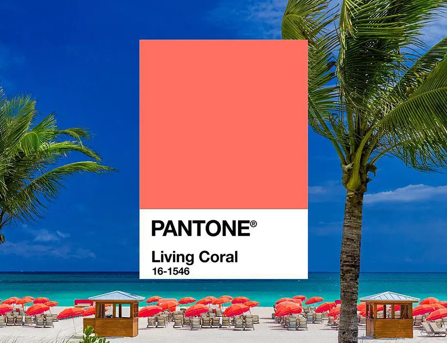 Pantone цвет 2019 года