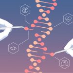 редактирование гена CRISPR