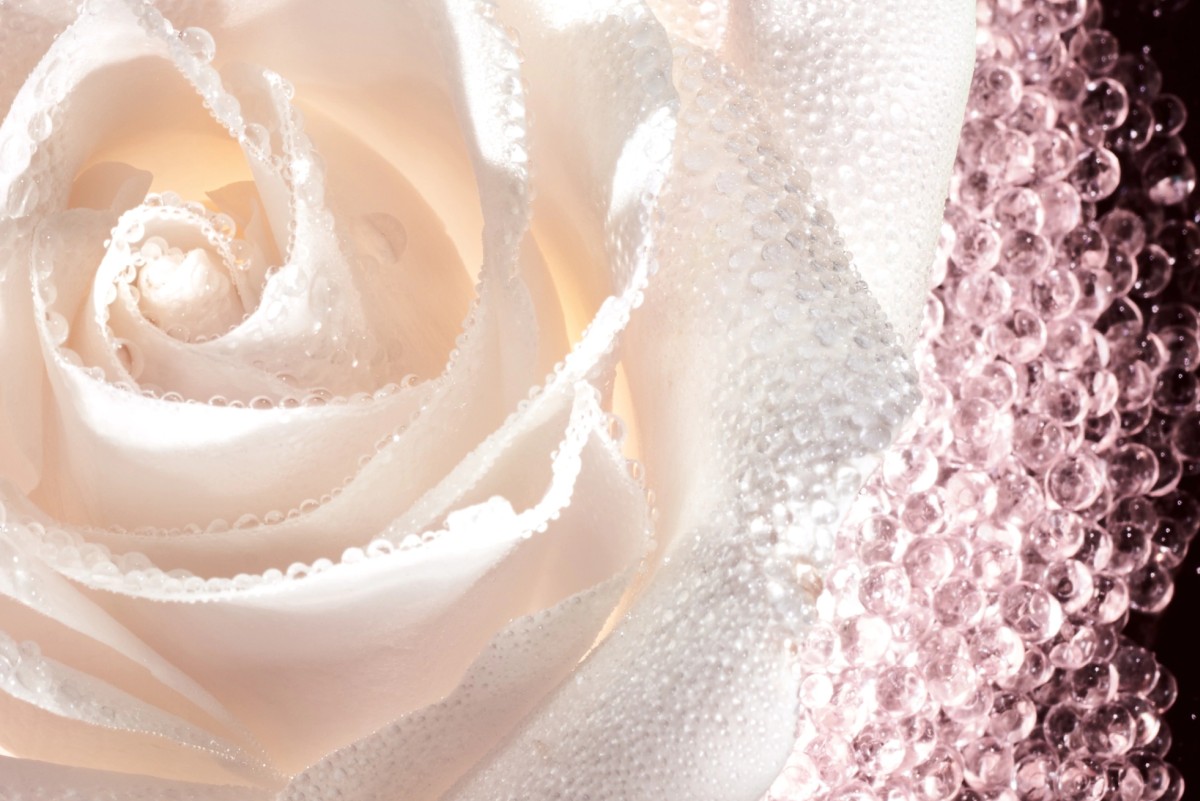 Beauty-средство недели: Dior, Prestige Le Micro Caviar De Rose