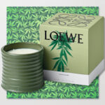 Loewe анонсировал выход свечи с ароматом марихуаны