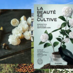 Chanel Beauty воссоздаст райские сады в центре Парижа