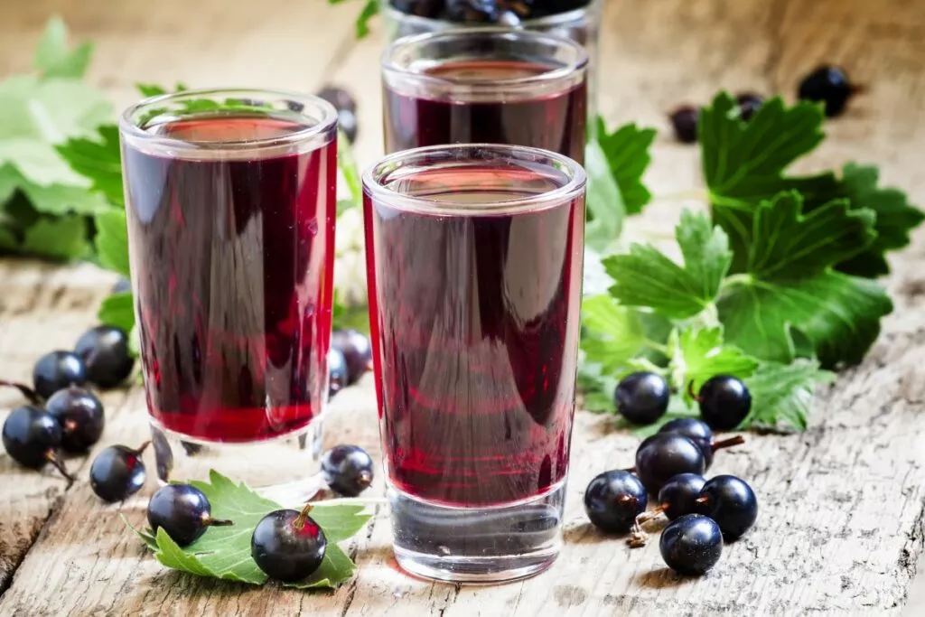 Вино із чорної смородини – покроковий рецепт