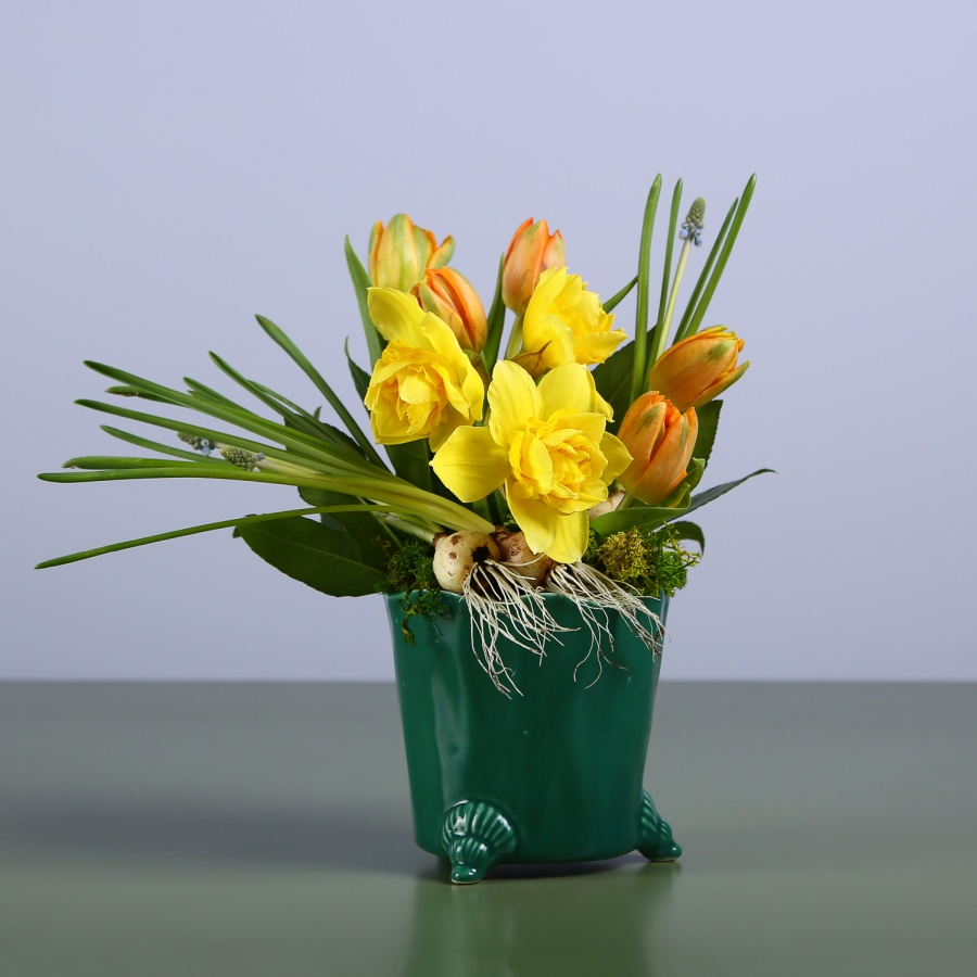 Какие цветы покупать весной: от первоцветов до веточек