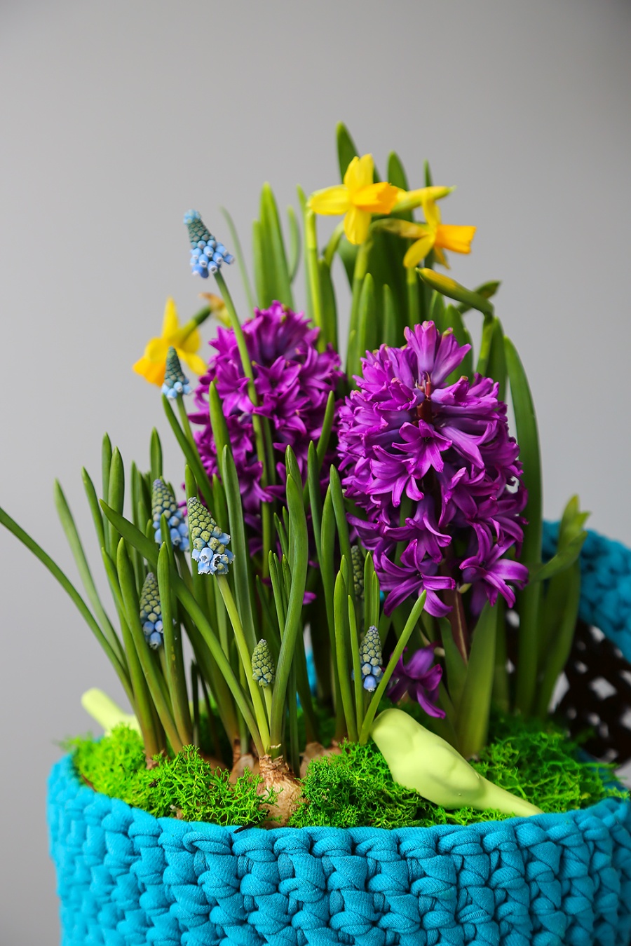 Які квіти купувати навесні: від першоцвітів до гілочок