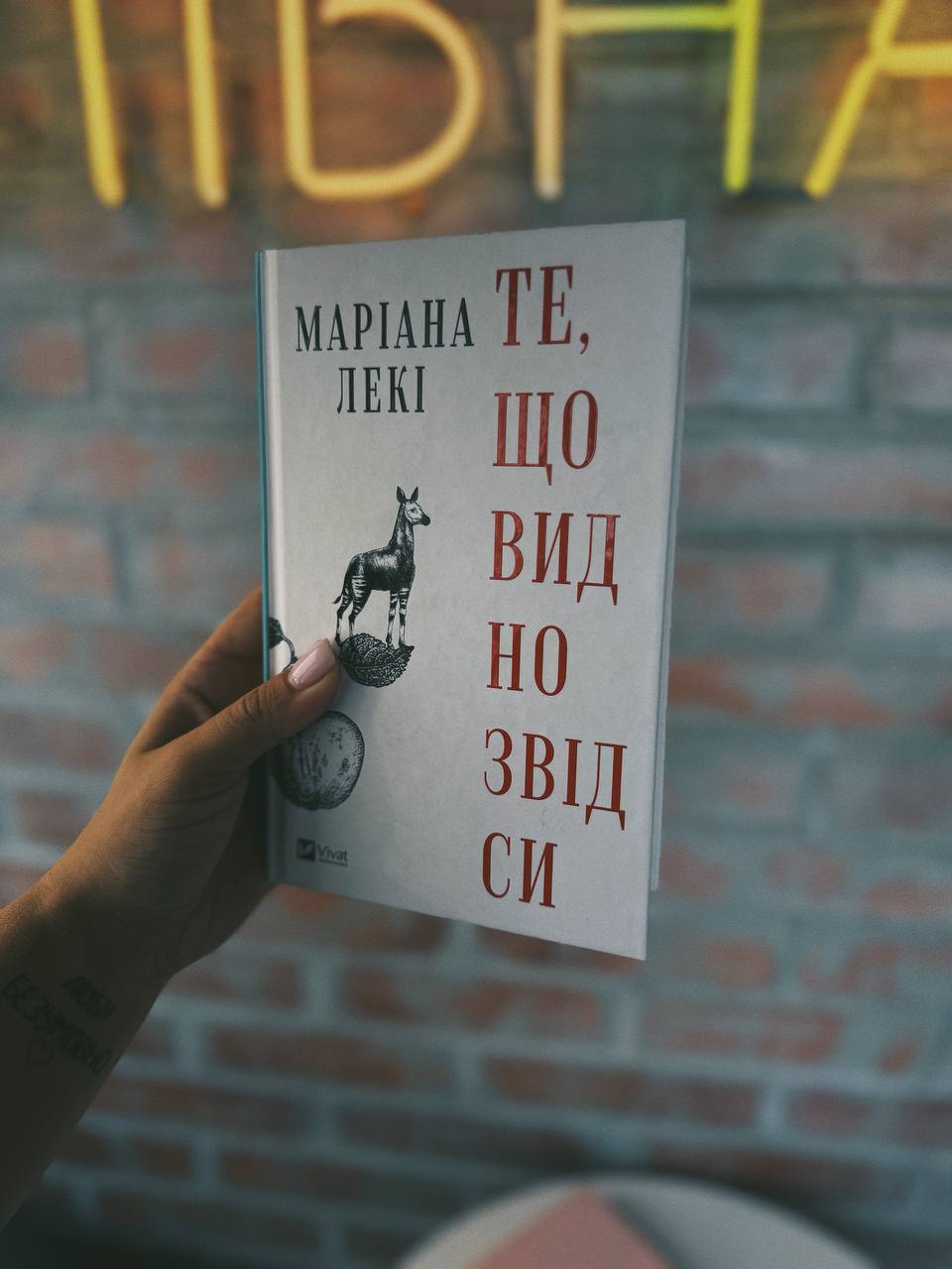 книга «Те, що видно звідси» Маріани Лекі 