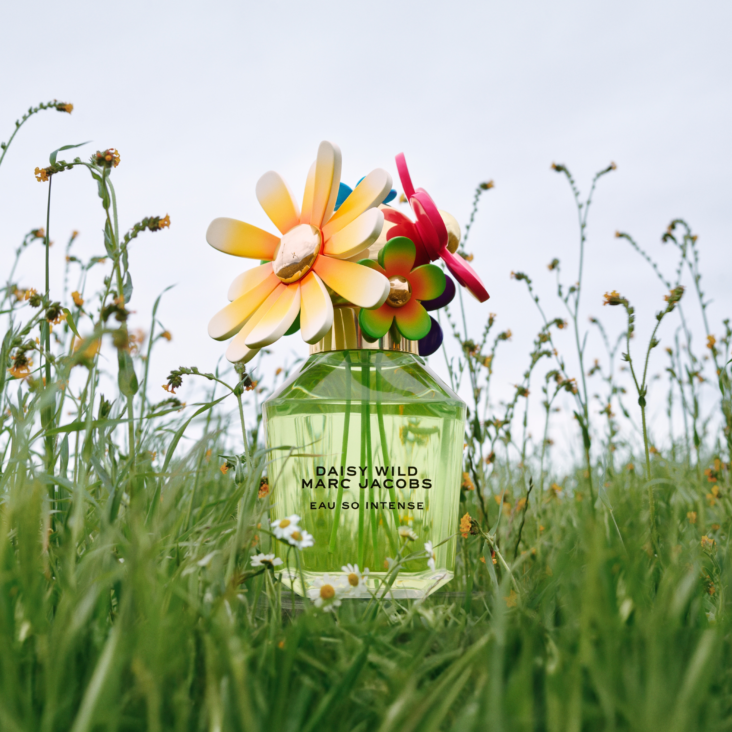 Daisy Wild Eau So Intense від Marc Jacobs