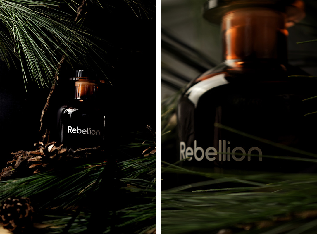 God Sleeps in the Forest Rebellion