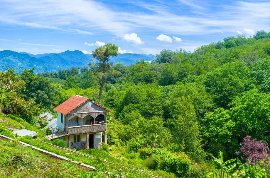 отдых в Батуми