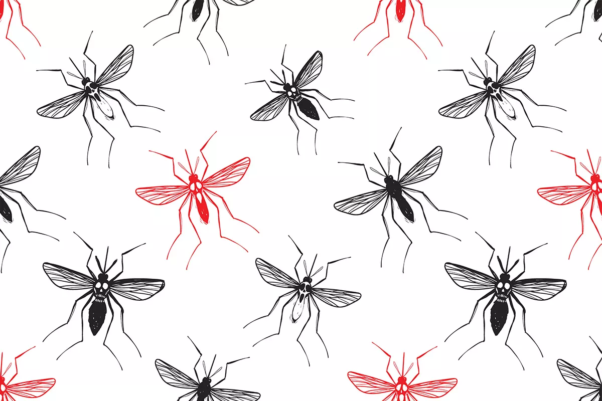Как защитить себя от укусов комаров и снять зуд