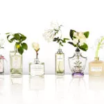Тест: какой нишевый парфюм тебе подойдет?