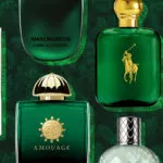 7 парфюмов с ароматом хвойного леса